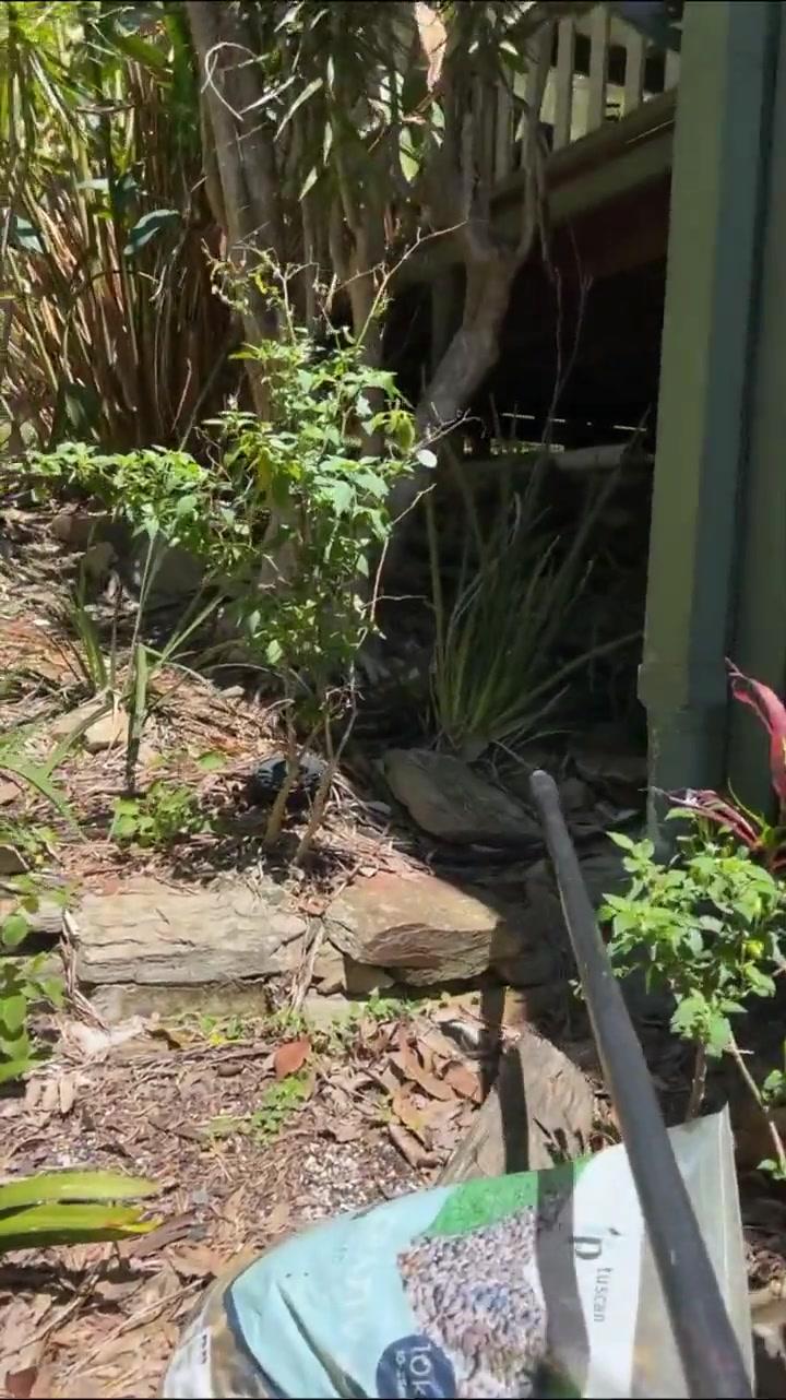 09f7acc91949de9f2dc092a2e6b27152e9df2039