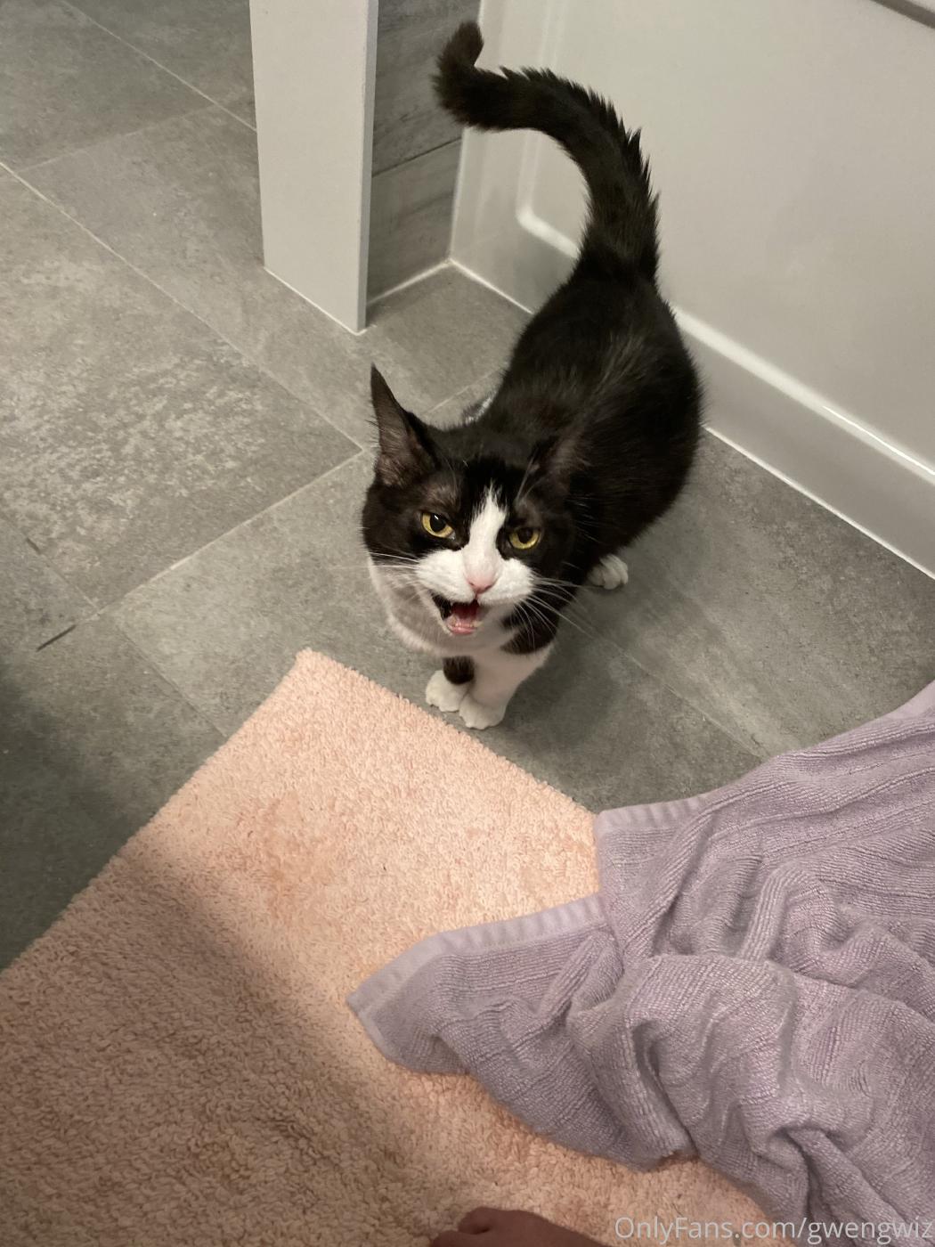 gwengwiz nude onlyfans collection leaked vqnijy influencers gonewild